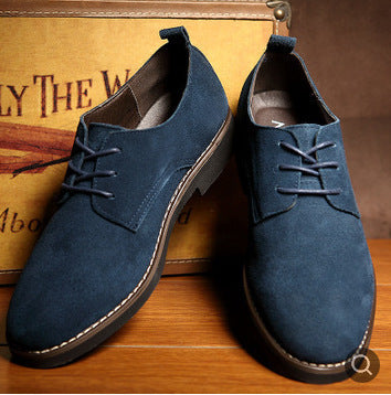 CLASSIC SUEDE SHOES